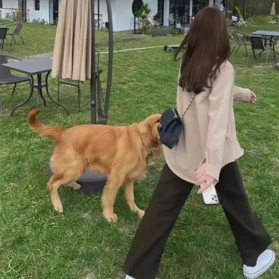 若叶女孩